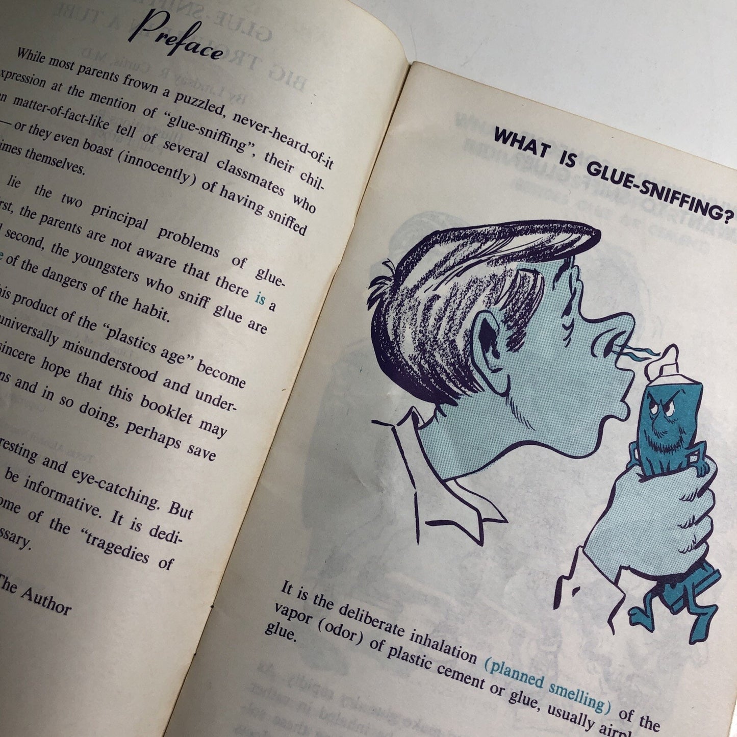 1970 GLUE SNIFFING Illustrated Booklet Texas Alcohol Narcotics Education Curtis