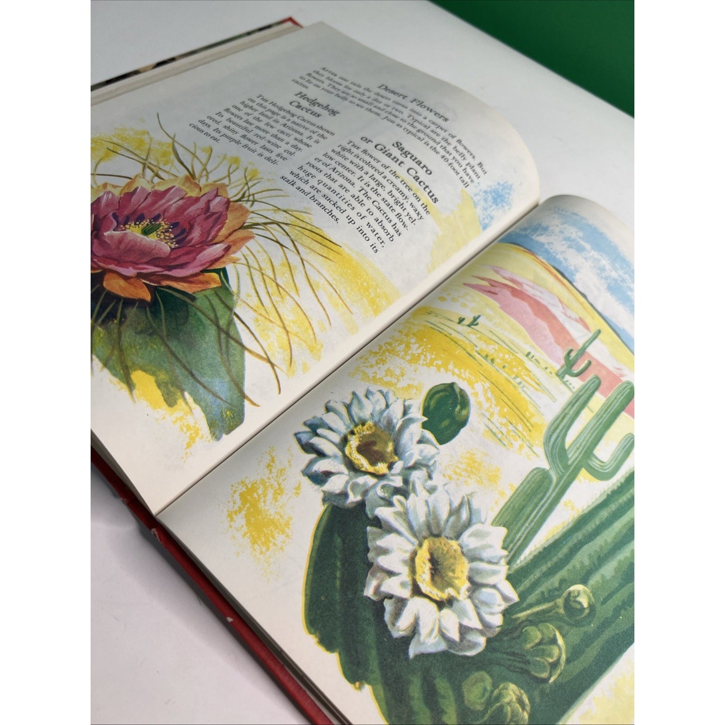 Wonders of Nature A Child's Introduction - Parents Magazine 1974 HC Illustrated