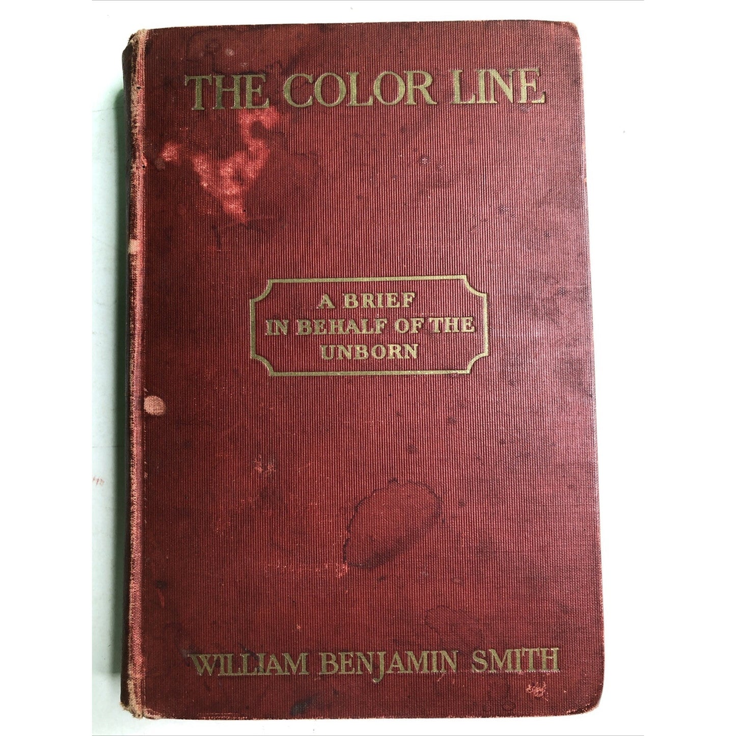 The Color Line A Brief on Behalf of the Unborn 1905 HC by William Benjamin Smith