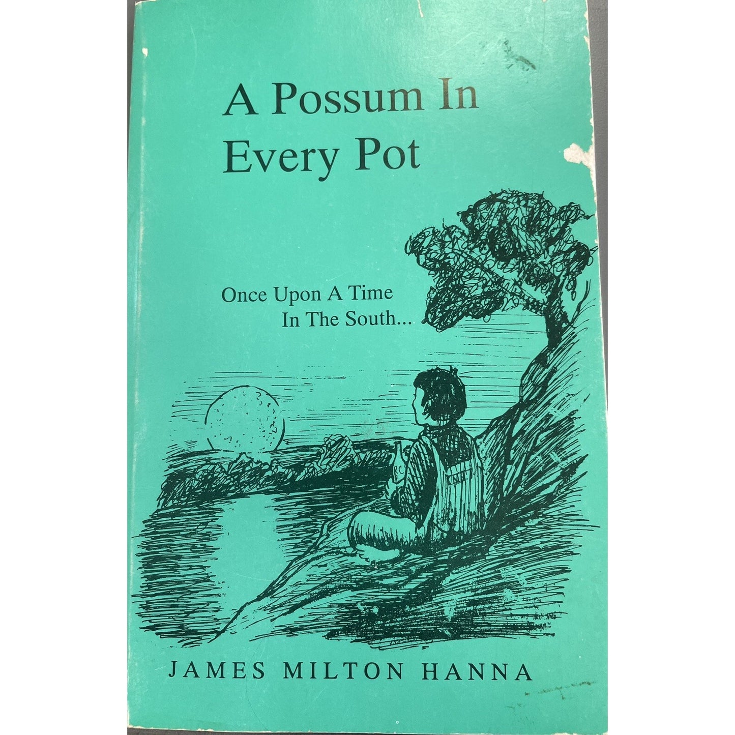 A Possum In Every Pot : Once Upon A Time In The South by James Milton Hanna PB