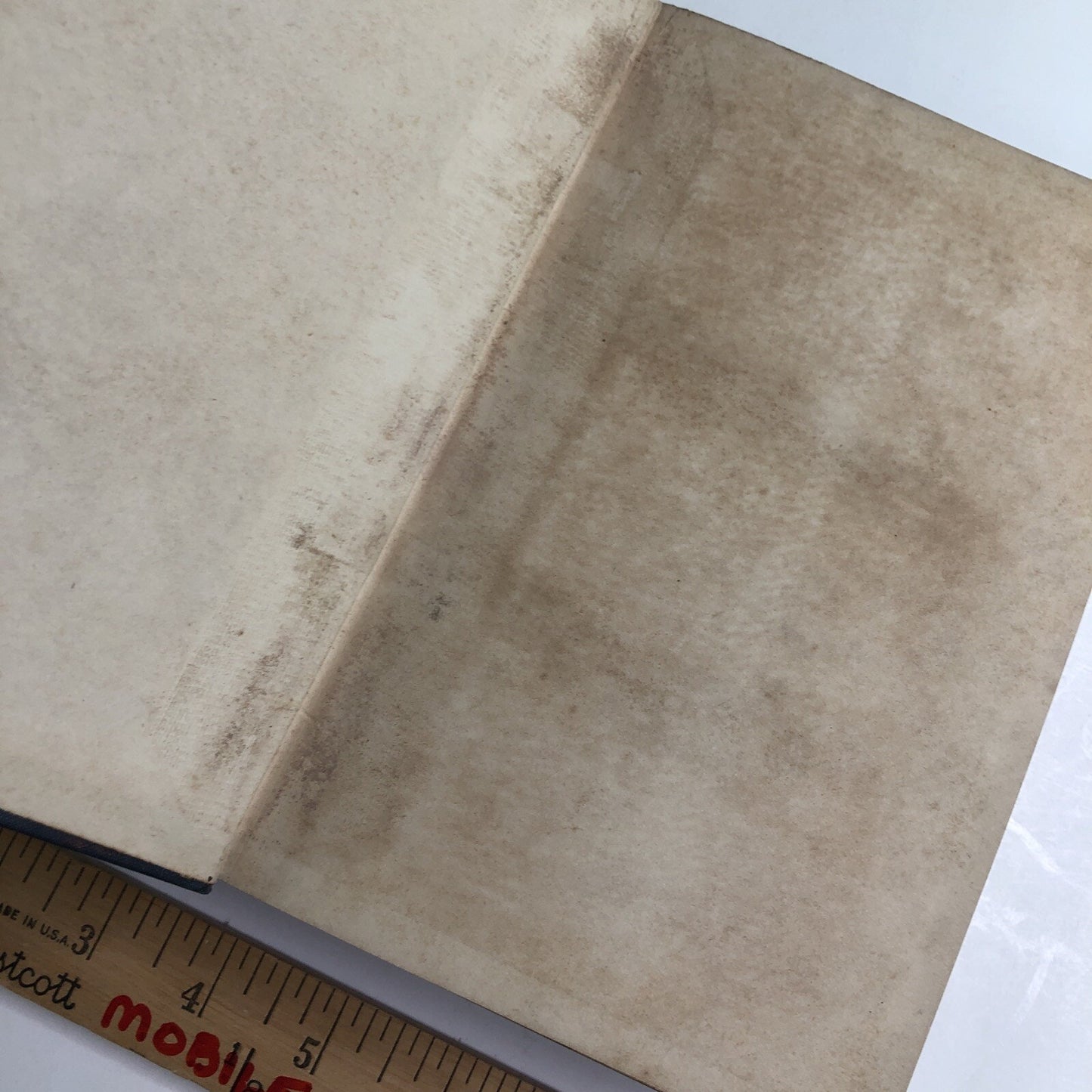 1910 1st Edition Romance of Plant Life By G. F. Scott Elliot HC Illustrated