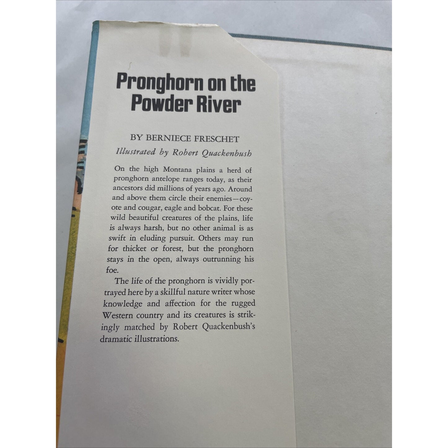 Pronghorn On The Powder River By Bernice Freschet (Hardcover, DJ, 1973) - RARE