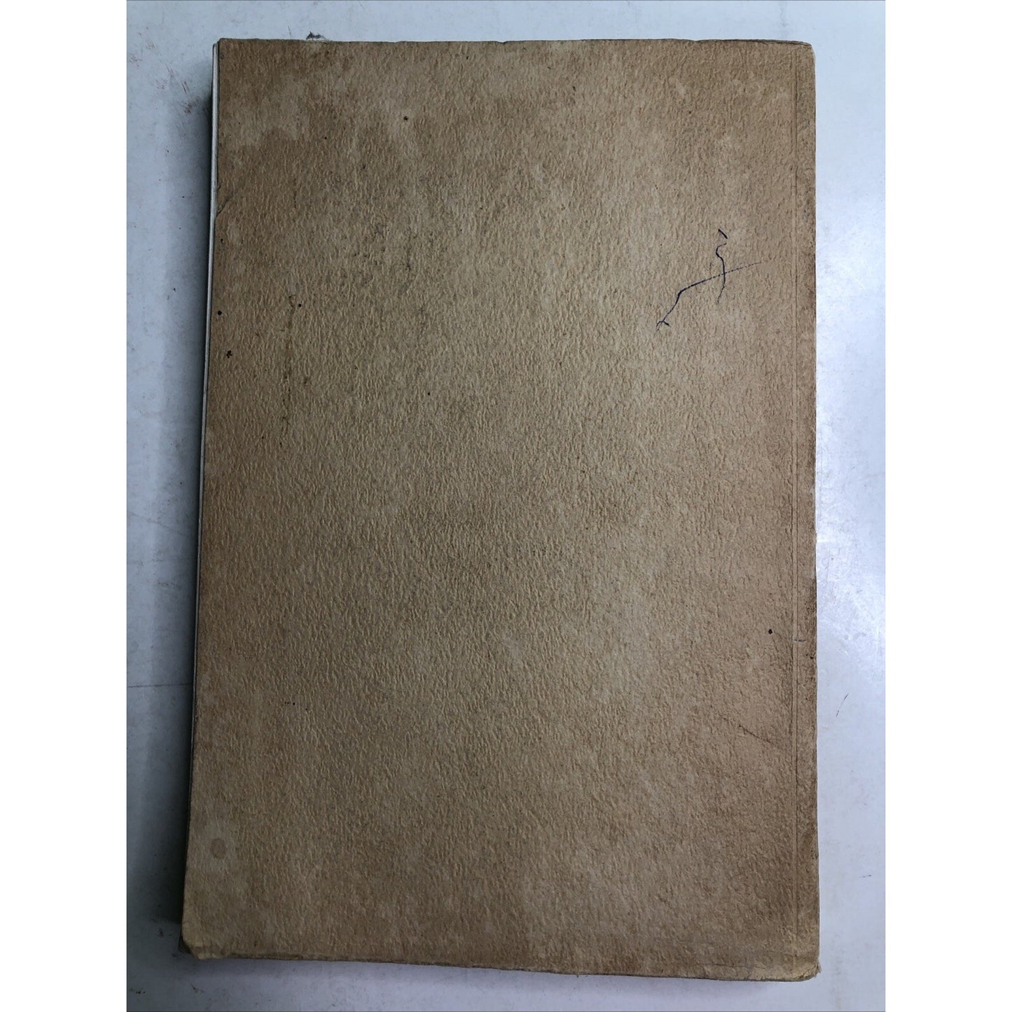 1946 PB Las Aves De Chile (Birds Of Chile) Illus. by Goodall Johnson Philippi