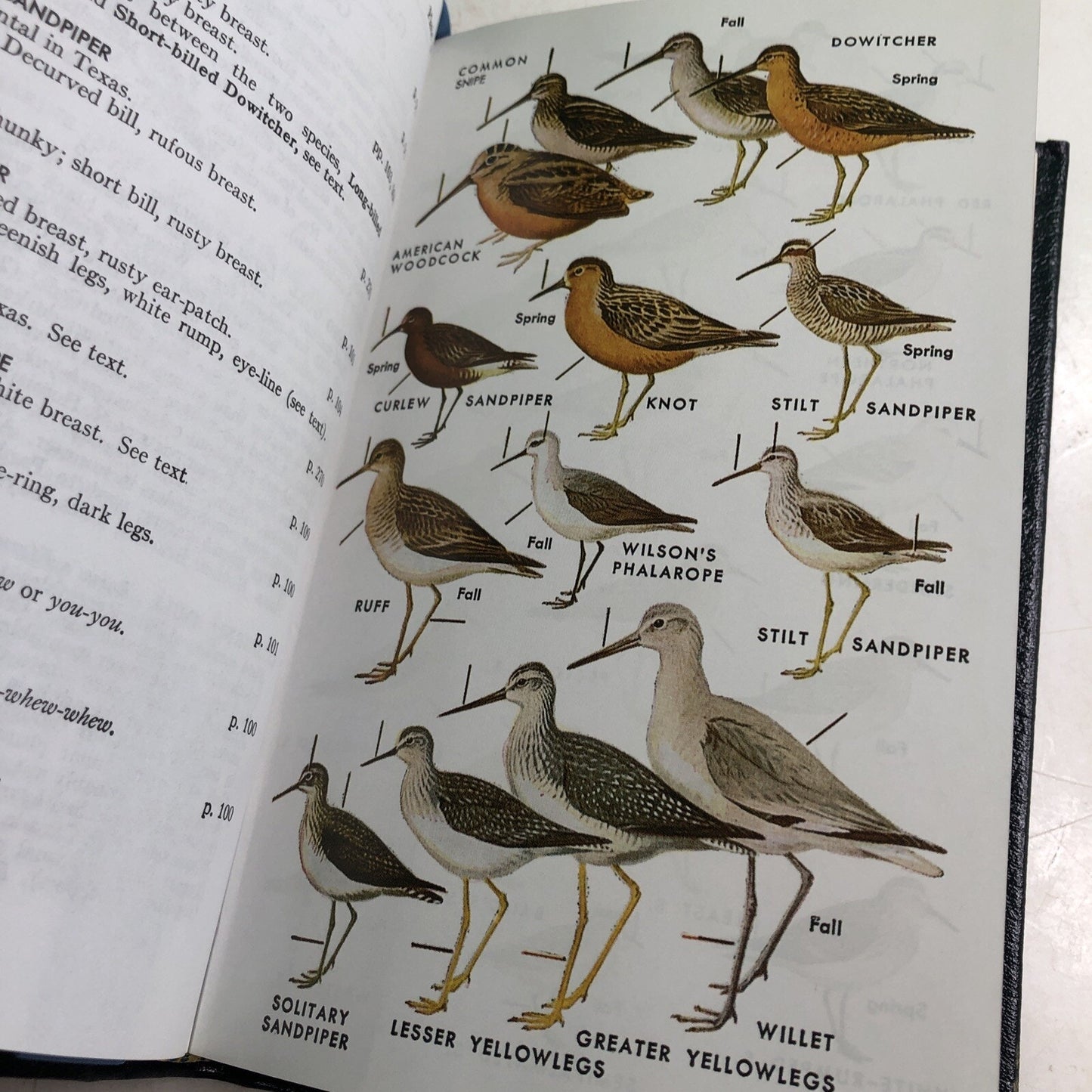 Roger Tory Peterson Field Guides: BIRDS OF TEXAS 2002 HC Leather Bound Bookplate