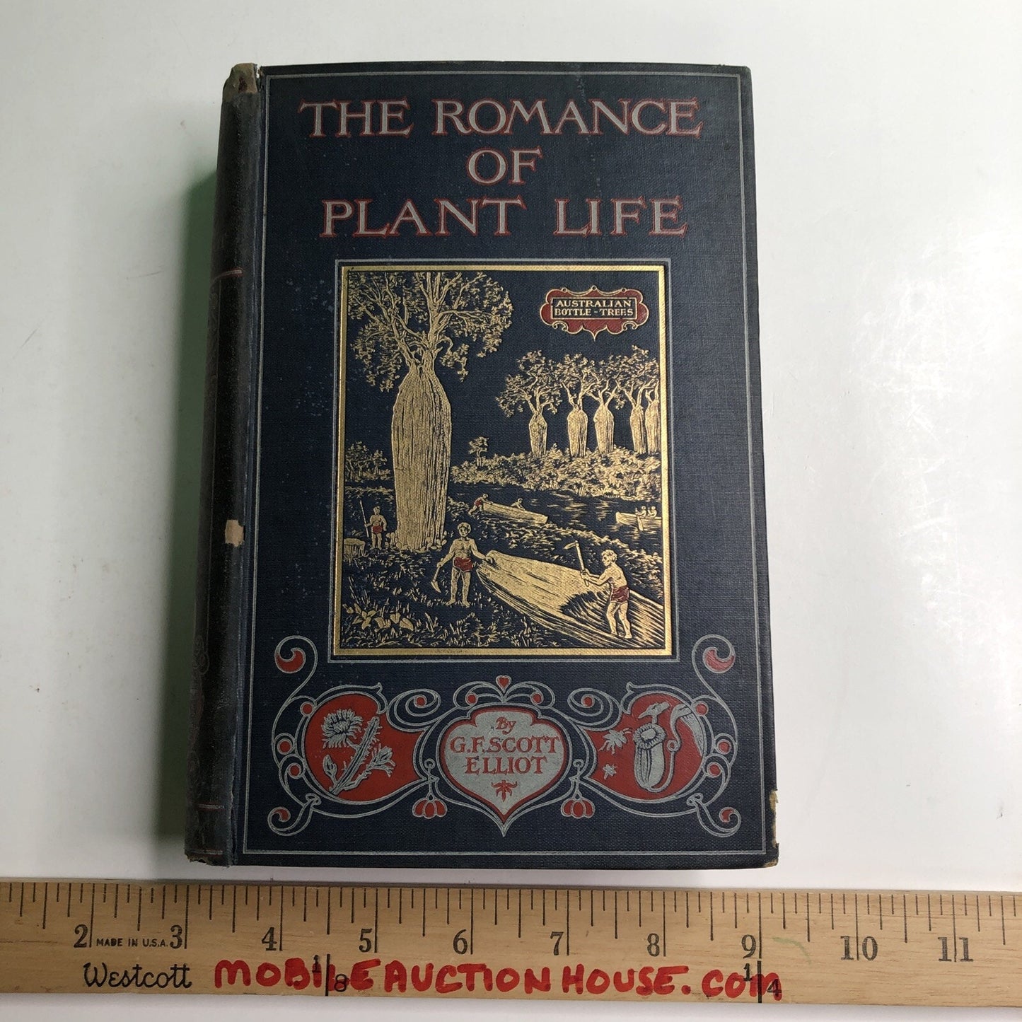 1910 1st Edition Romance of Plant Life By G. F. Scott Elliot HC Illustrated