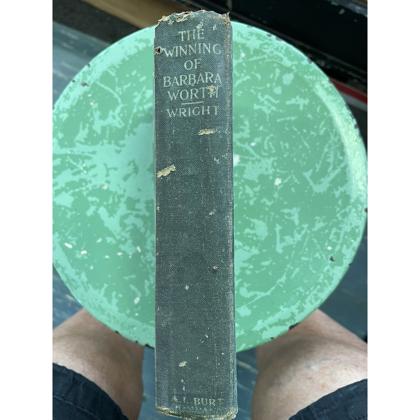 1911 The Winning of Barbara Worth Harold Bell Wright HC Illustrated 1st Edition