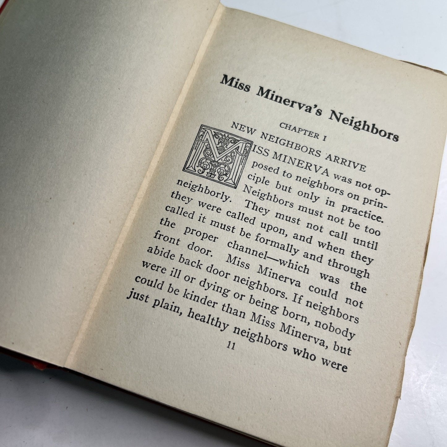 1929 MISS MINERVA'S NEIGHBORS by Emma Speed Sampson 1st Edition HC Illustrated