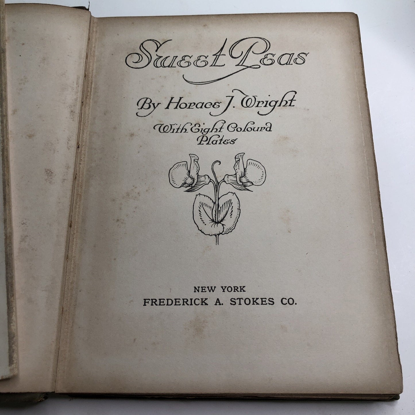 1910 Sweet Peas by Horace J. Wright Hardcover Color Plates