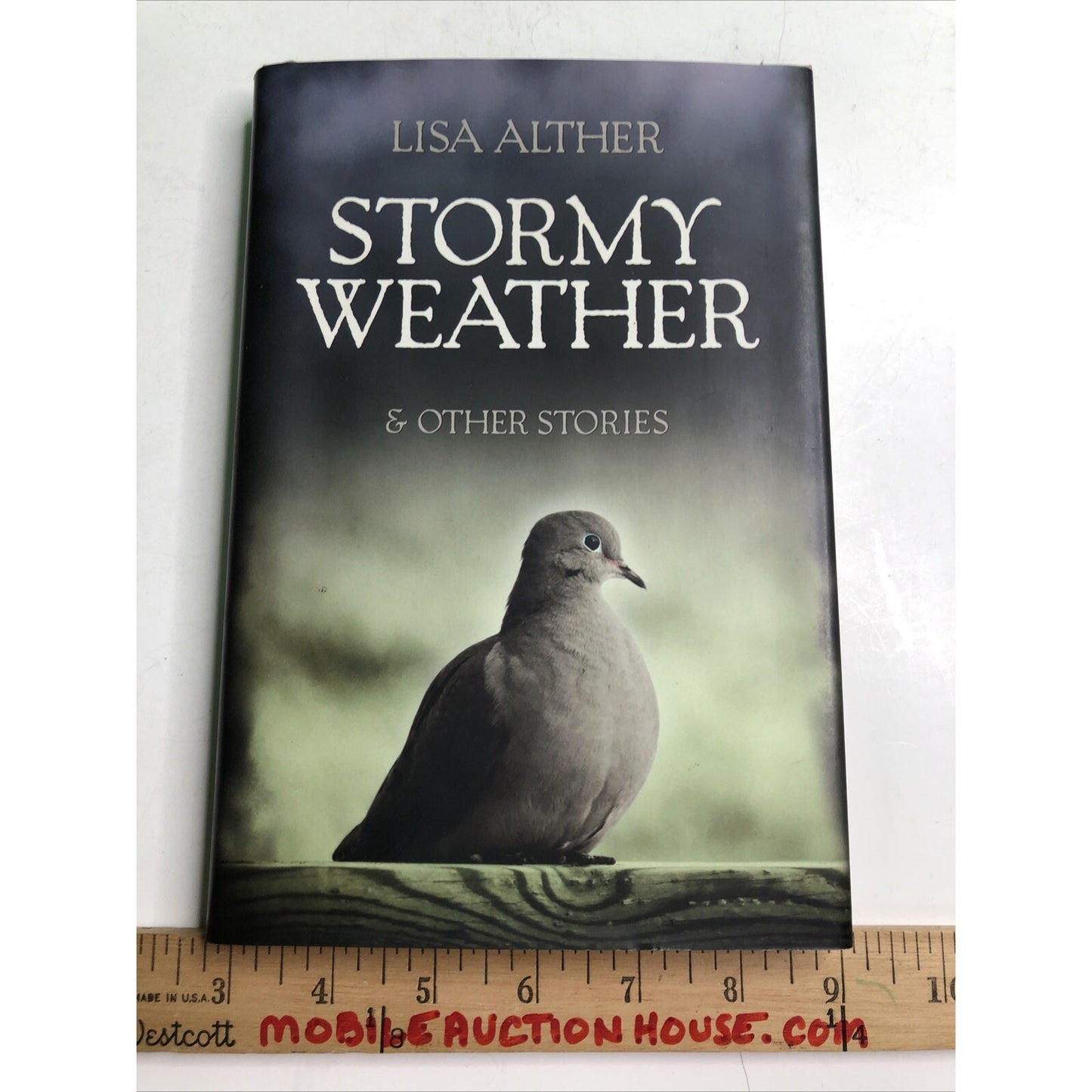 Stormy Weather and Other Stories DJ Hardcover SIGNED BY AUTHOR Lisa Alther 2012