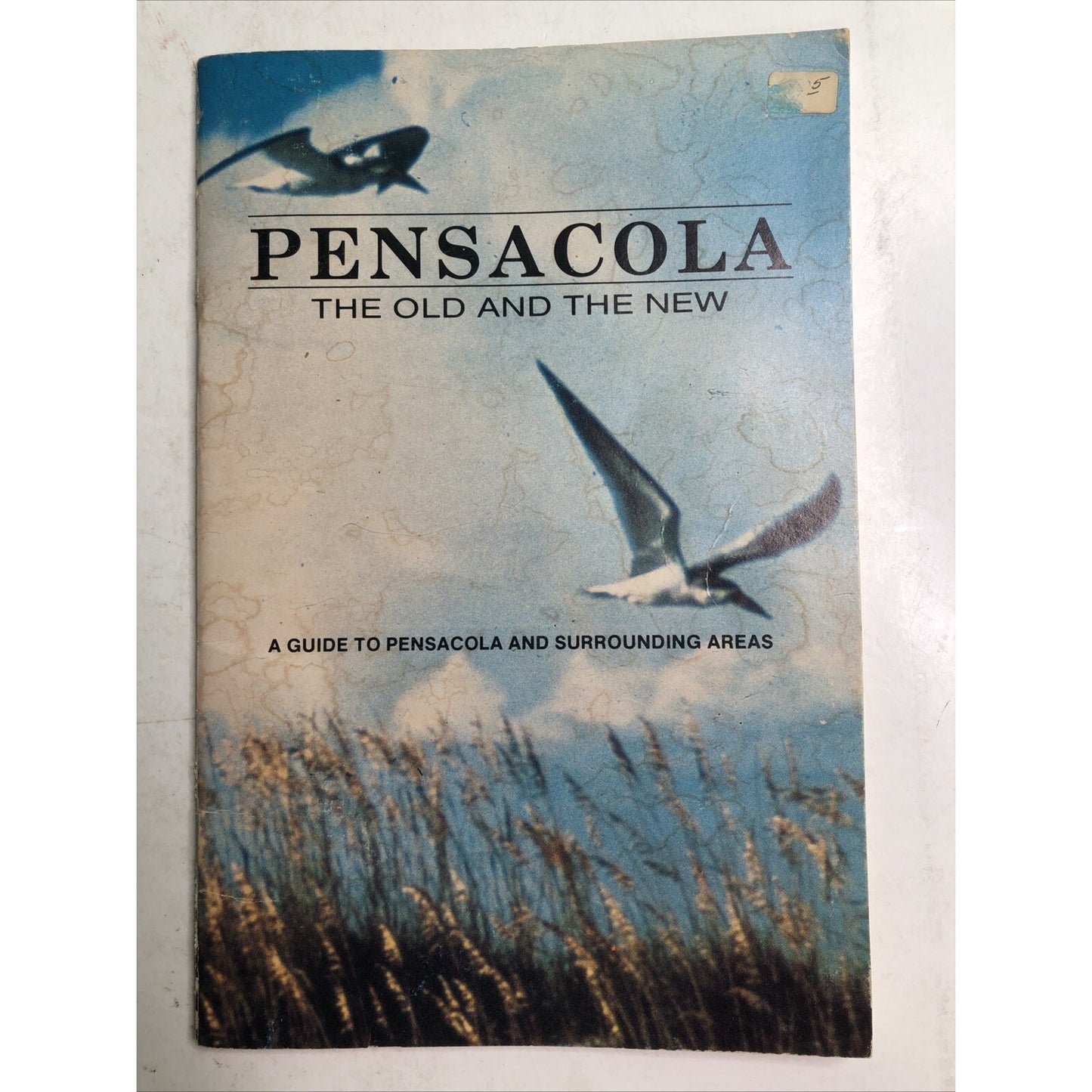 Pensacola The Old And The New Guide Surrounding Area PB 1988 Historical Society