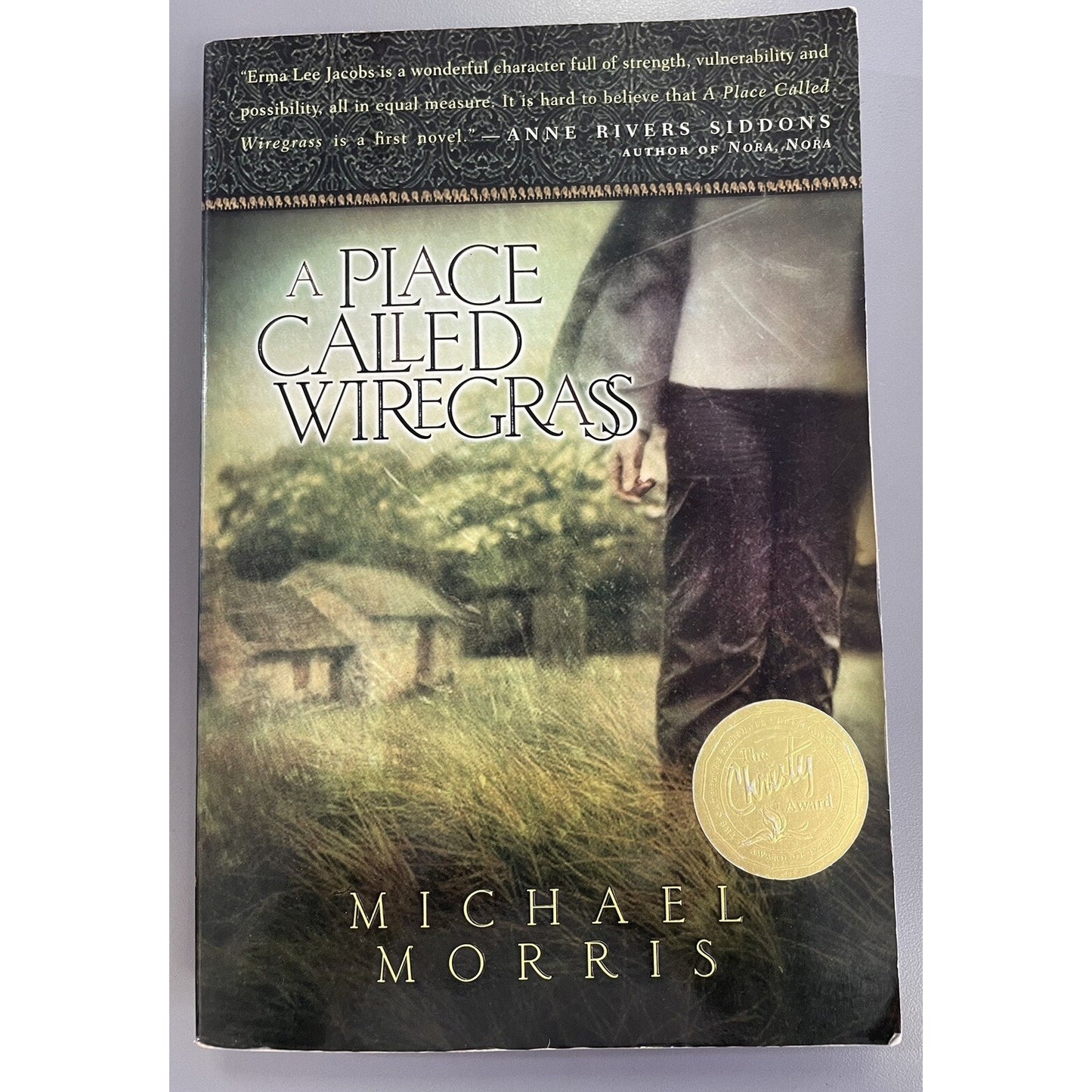 A Place Called Wiregrass by Michael Morris PB Signed By Author 2002
