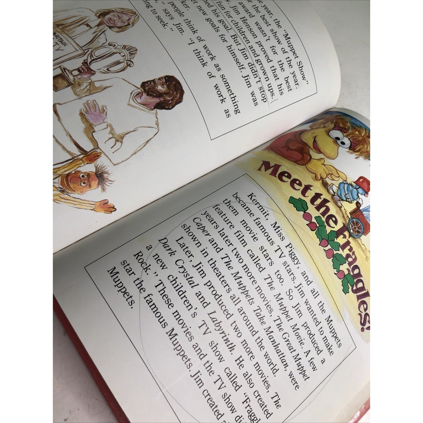 Jim Henson: Creator of the Muppets (Reaching Your Goal) by Petrucelli Ex Library