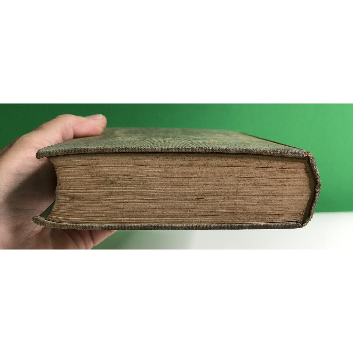 THE LIFE OF THE BEE ~ MAURICE MAETERLINCK ~ 1919 Hardcover Beekeeping