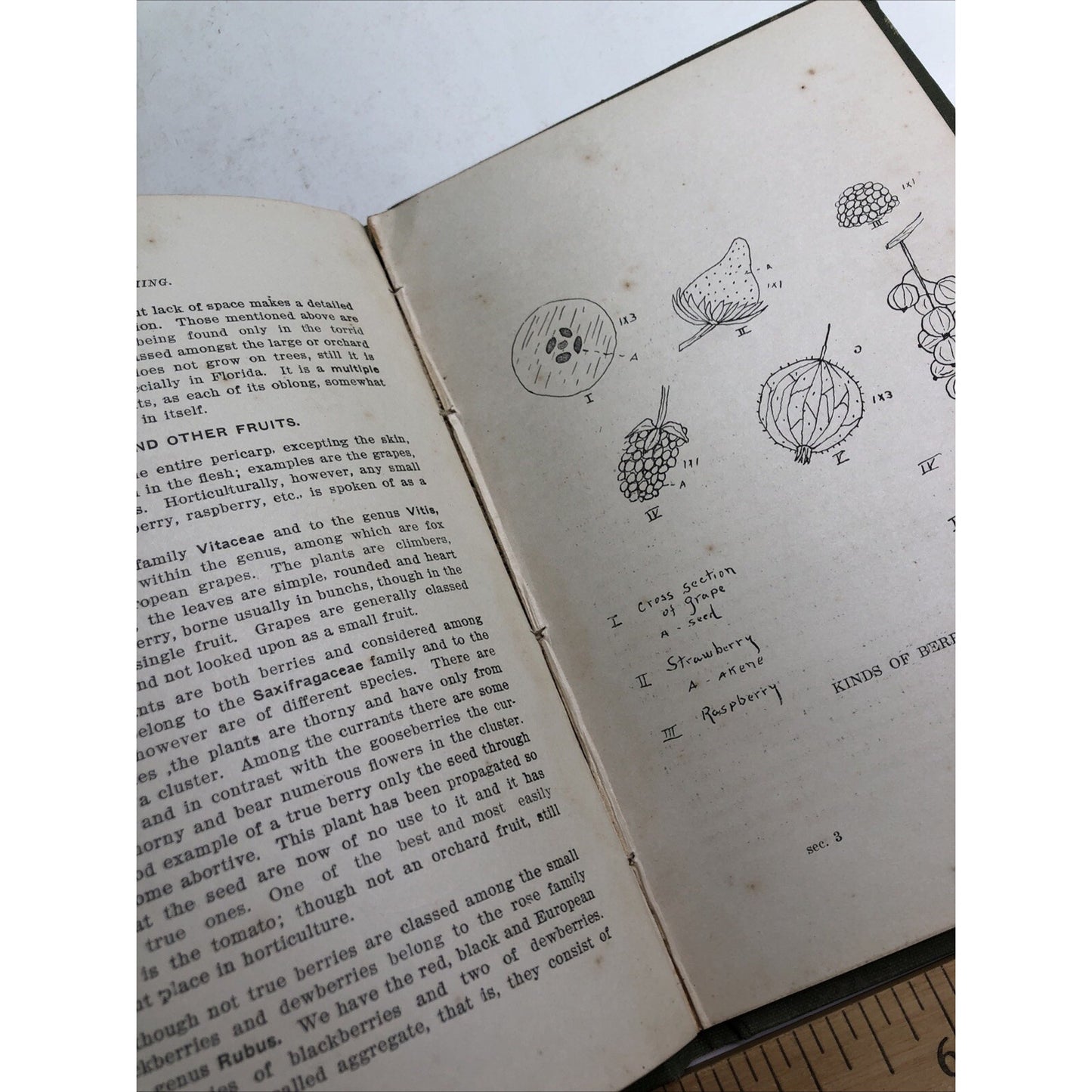 Land Teaching By Stockbridge 1910 HC Southern Ruralist Company Atlanta Georgia