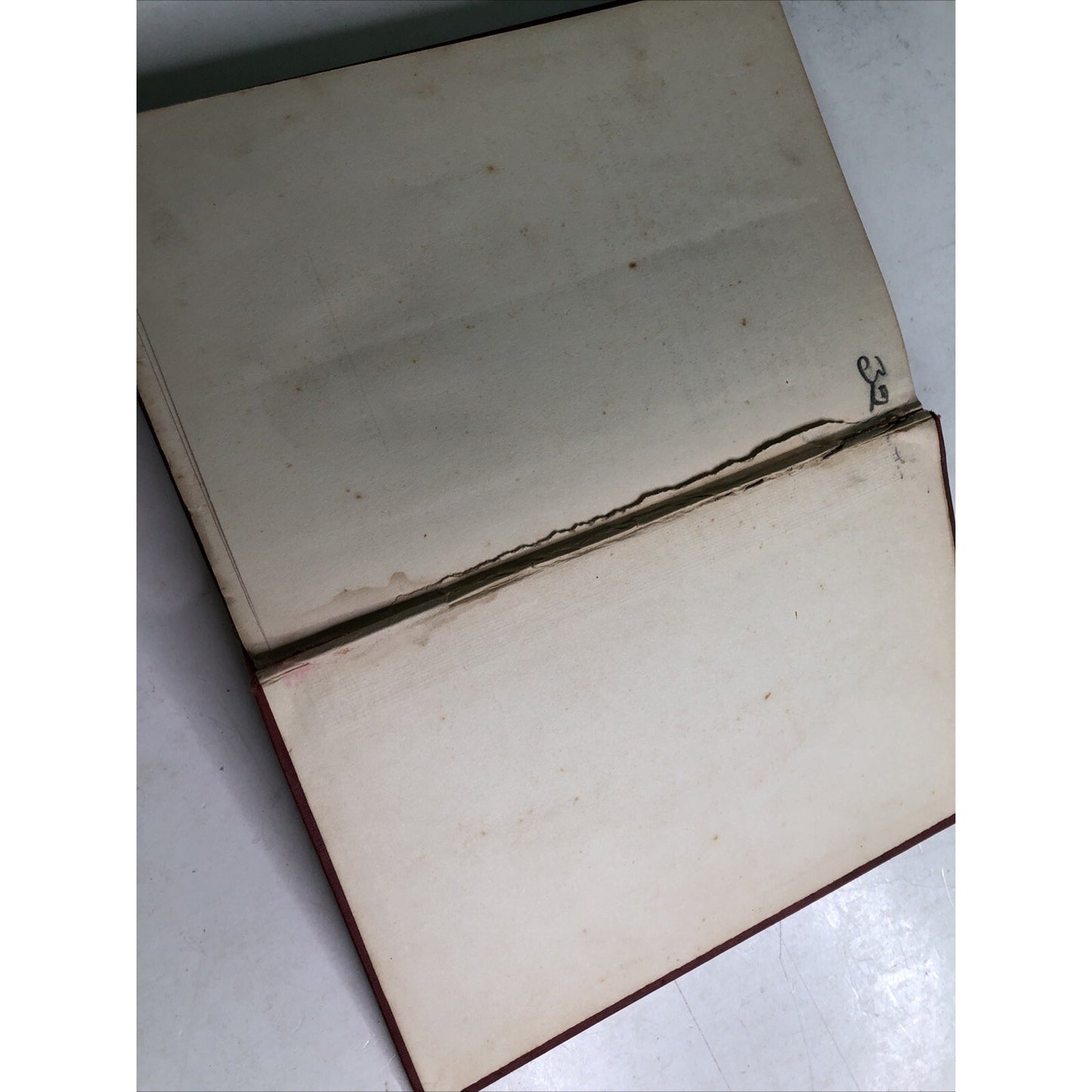 The Color Line A Brief on Behalf of the Unborn 1905 HC by William Benjamin Smith
