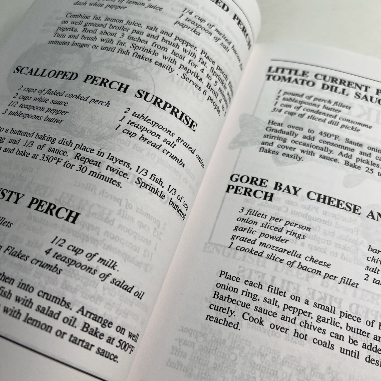 Secret Recipes from a Canadian Fishing Guide by Darryl Choronzey 1998 PB