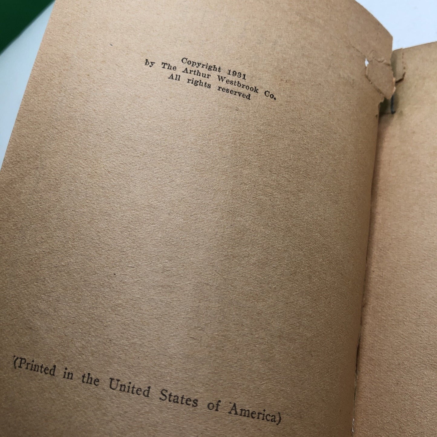 The Pirate of the Gulf by Col. Prentiss Ingraham 1931 Arthur Westbrook #4 Series