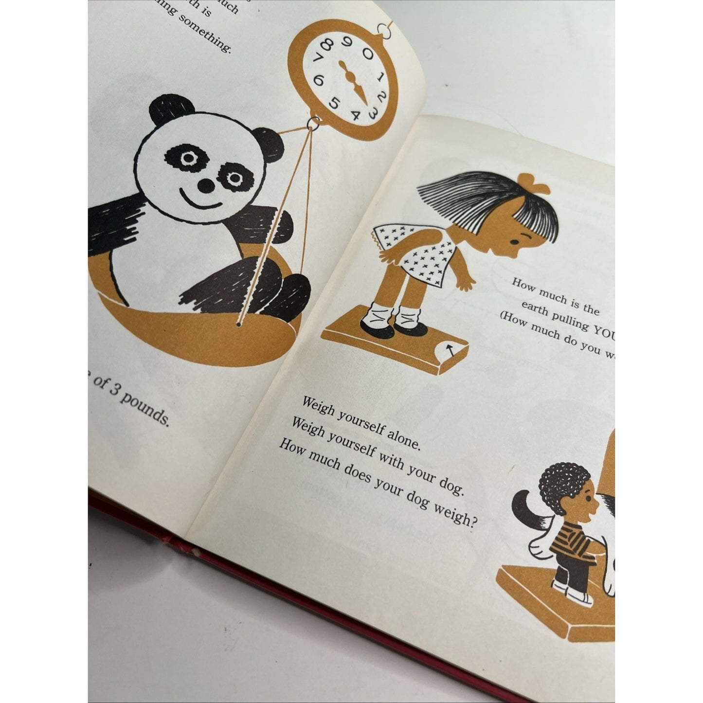 What Is A Shadow? A Second Book Of Simple Science Fun By Bob Ridiman 1973