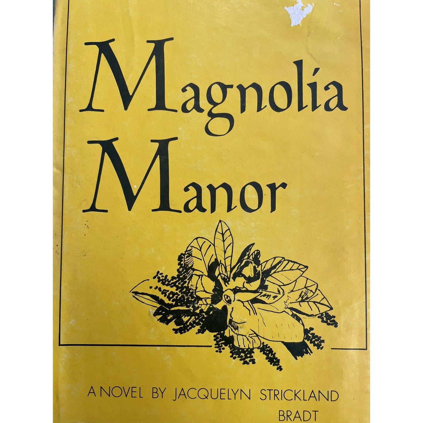 MAGNOLIA MANOR HC DJ BY JACQUELYN STRICKLAND BRADT 1973 CARLTON PRESS
