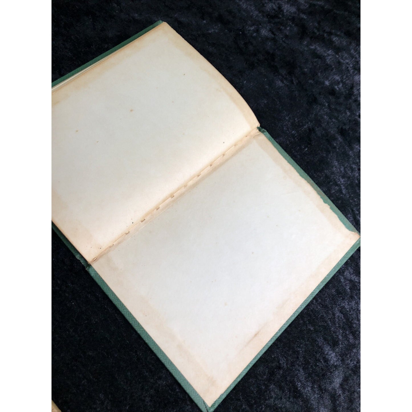 Eneas Africanus by Harry Stillwell Edwards 1951 Reprint HC Illustrated Classic