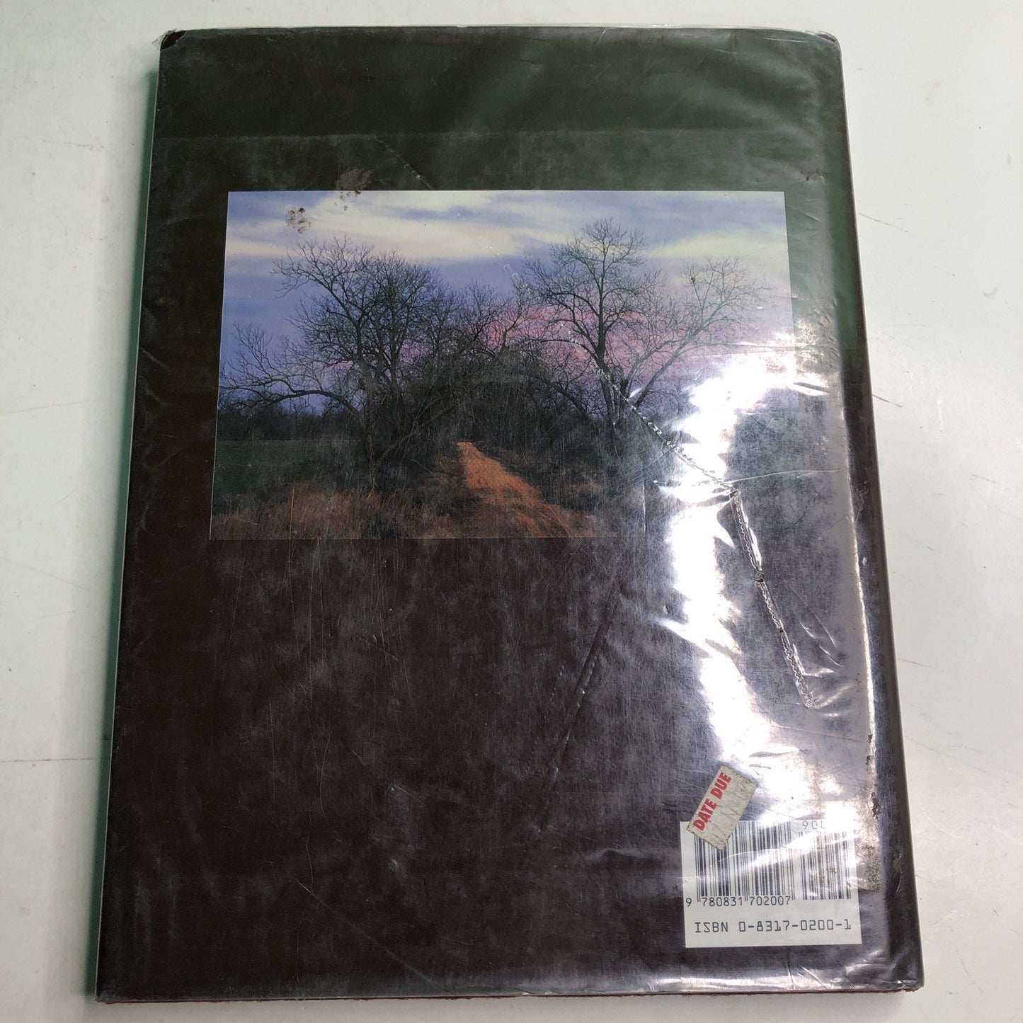 ALABAMA MEMORIES by Chip Cooper Photographs 1st edition 1989 Signed HC DJ