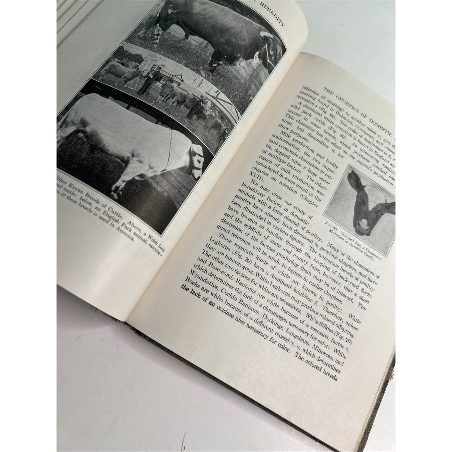 The Principles Of Heredity 3rd Edition By Laurence H. Snyder 1946 HC Illustrated