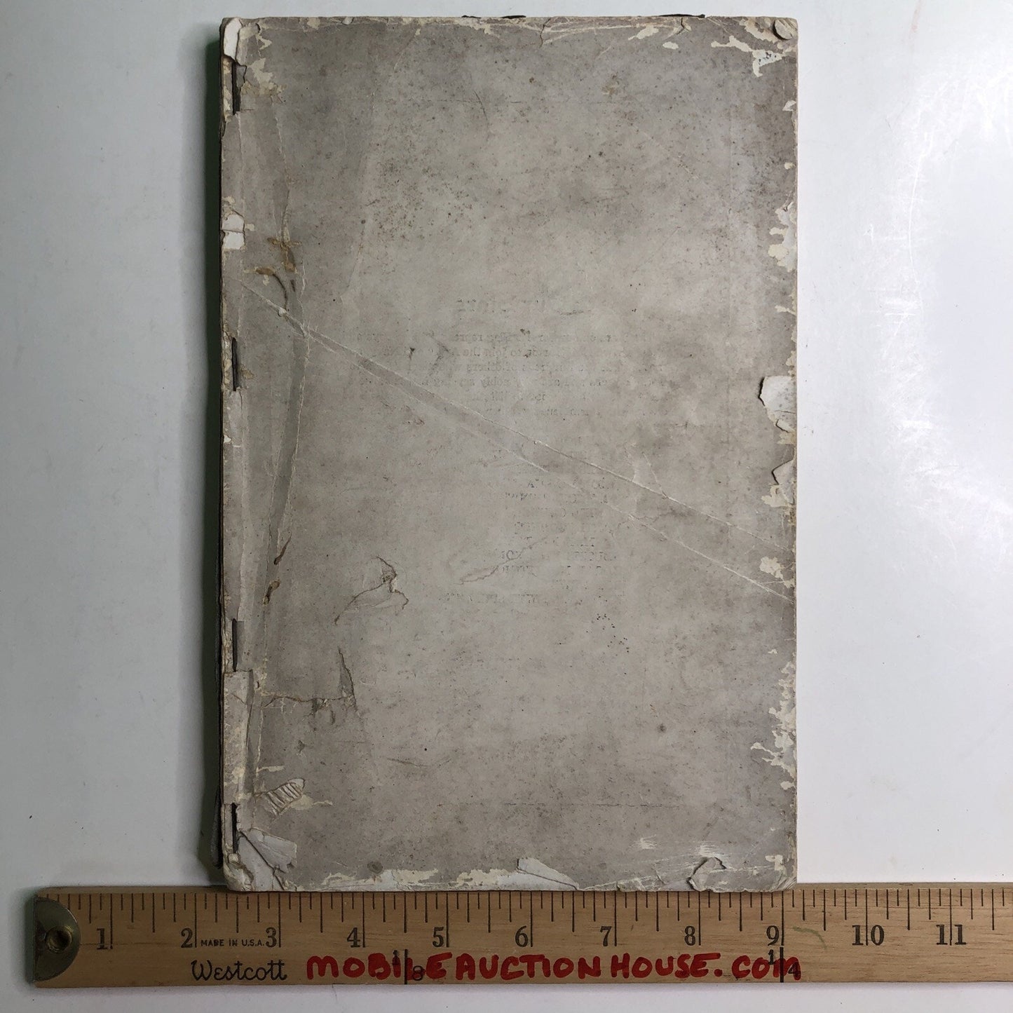 1918 BARTONIAN Yearbook Mobile High School Alabama Local History Barton Academy