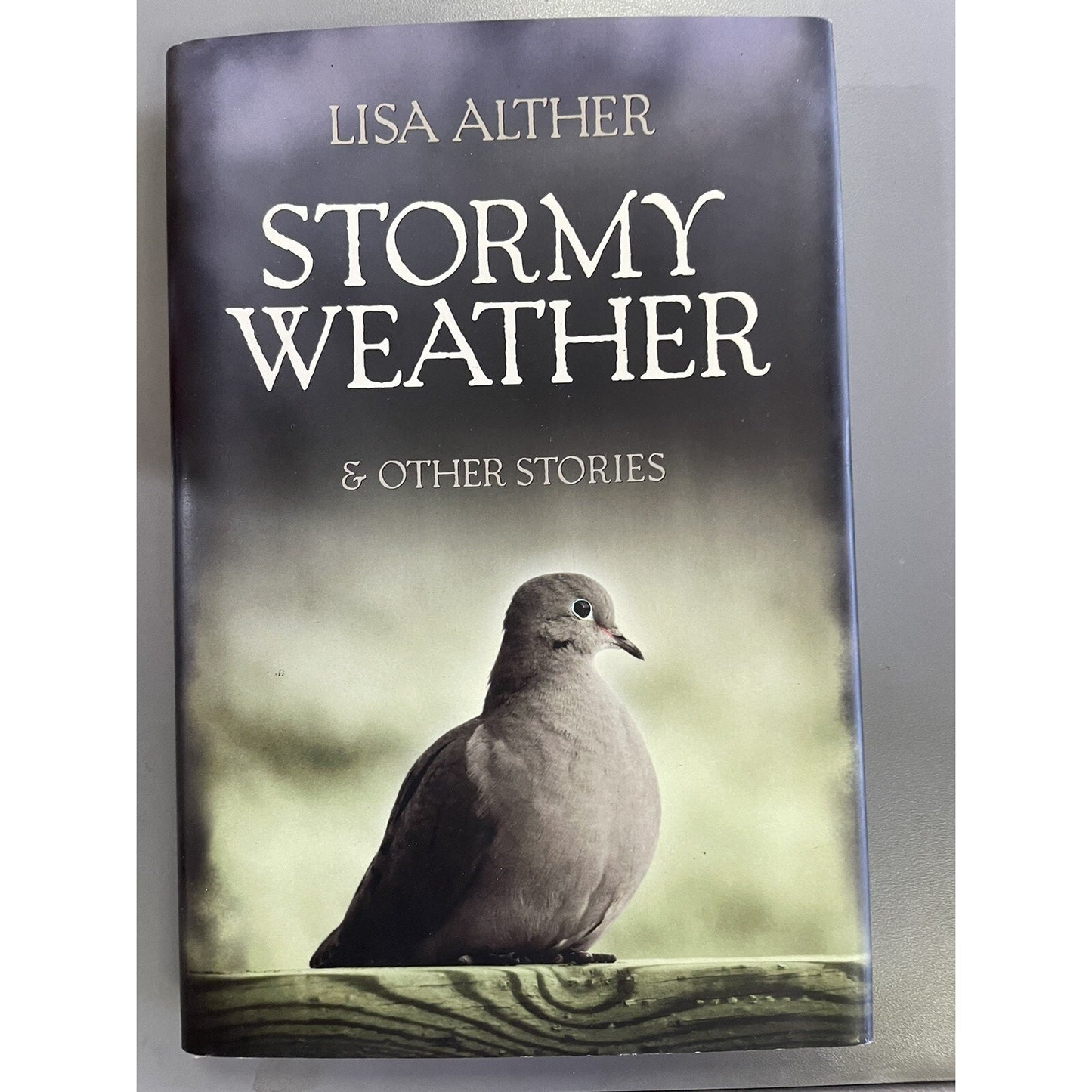 Stormy Weather and Other Stories DJ Hardcover SIGNED BY AUTHOR Lisa Alther 2012