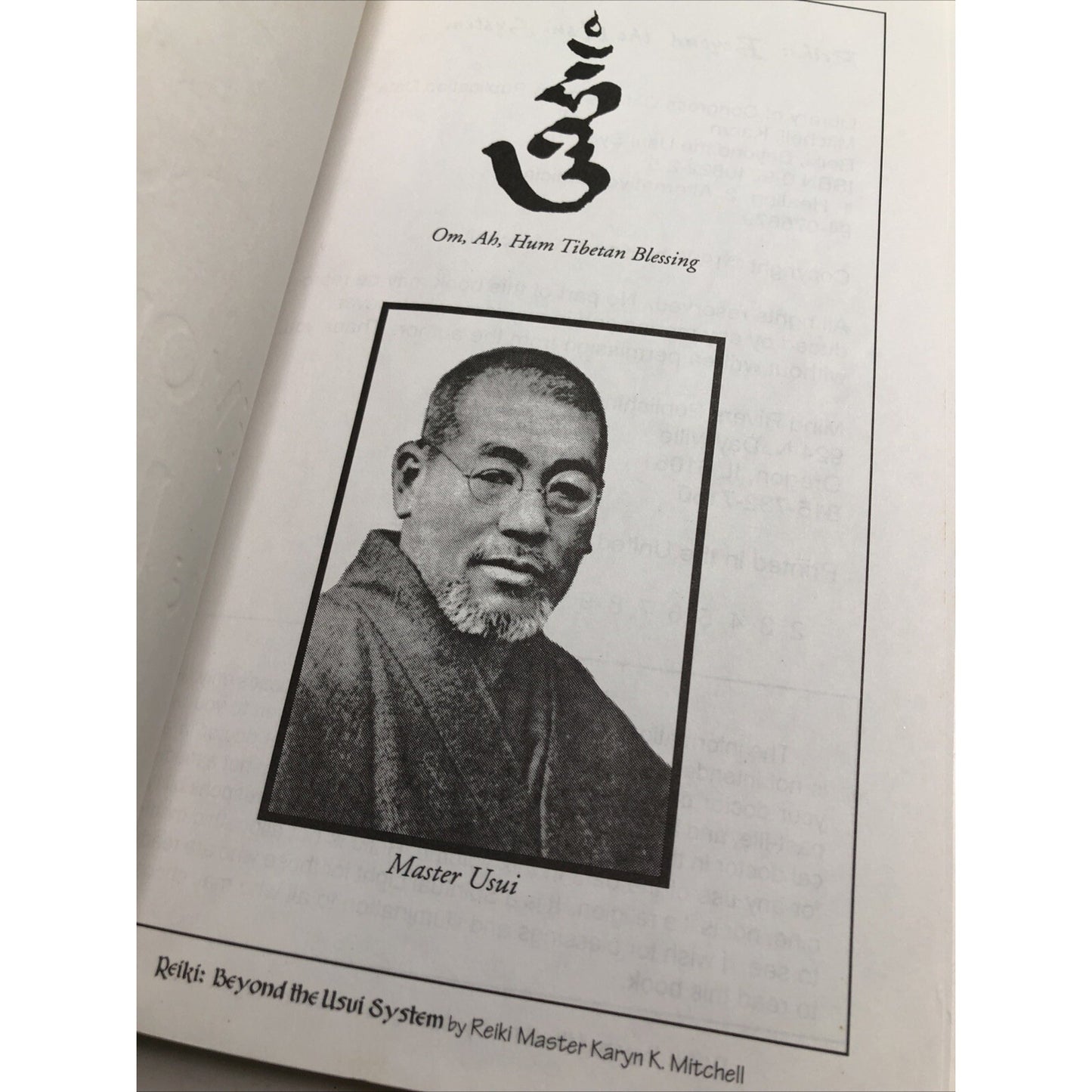 Reiki: Beyond the Usui System by Ph.D. Mitchell, Karyn K. PB 1996