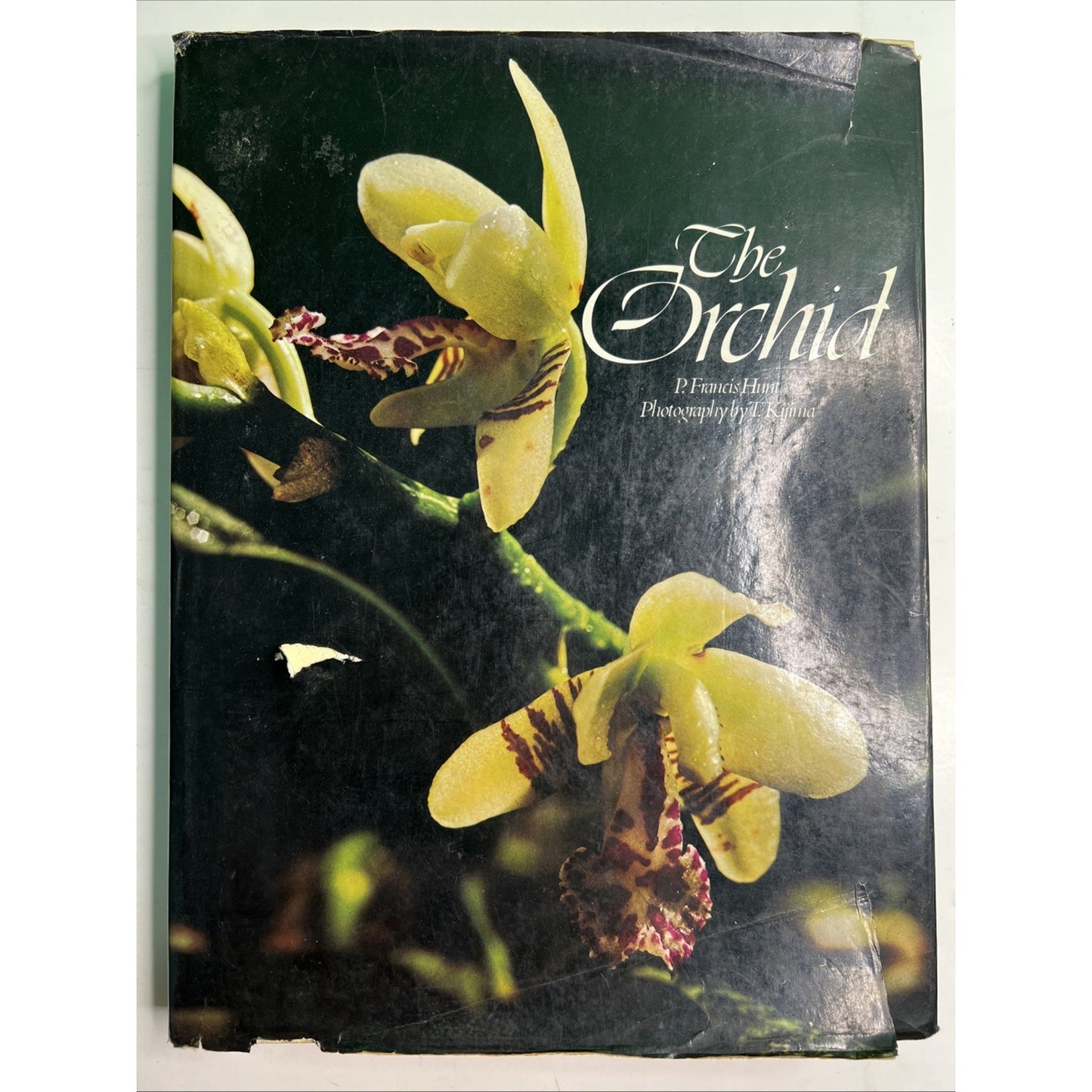 The Orchid by P F Hunt Photos by T Kijima 1978 First Edition HC DJ