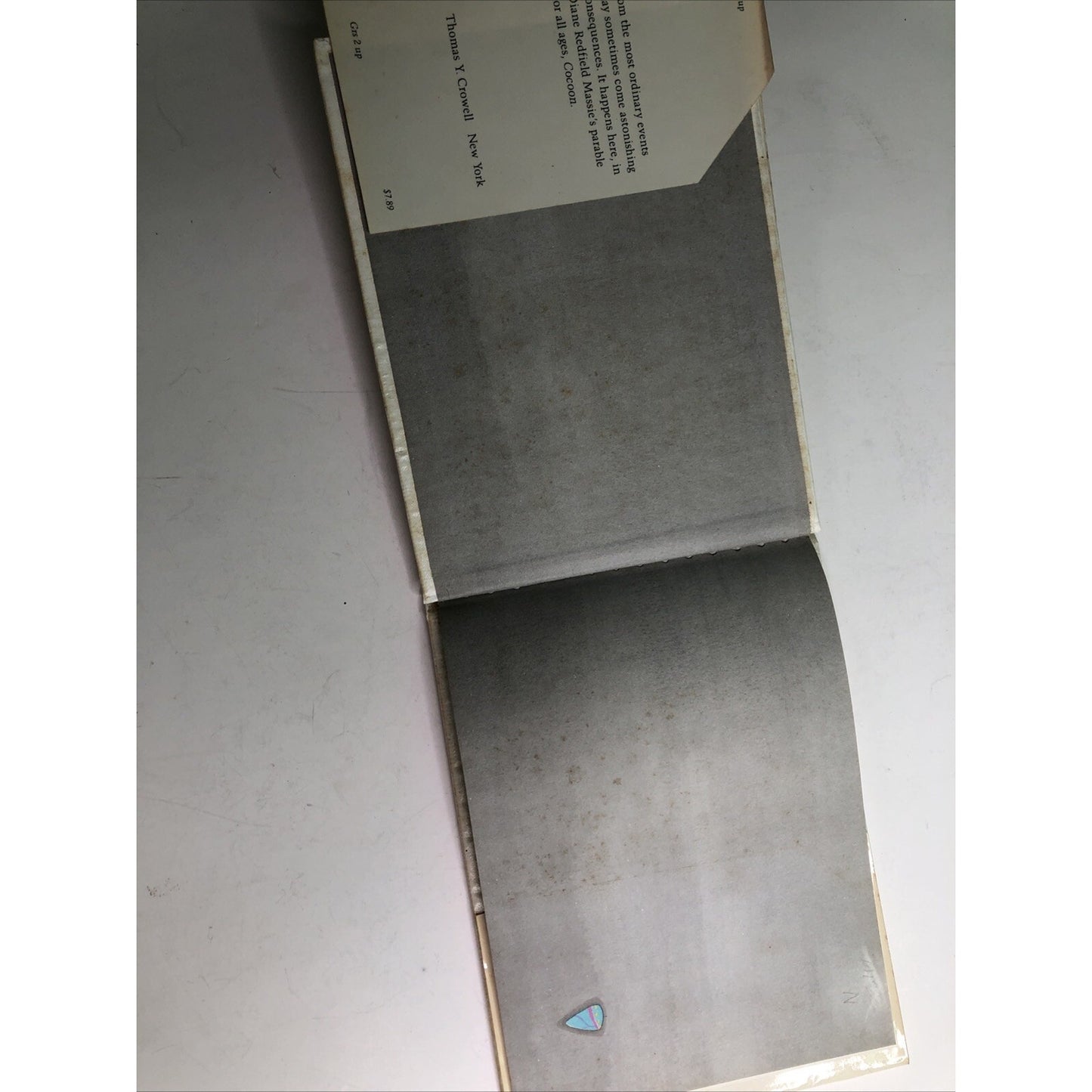 Cocoon by Diane Redfield Massie (1983, Hardcover, DJ) First Edition