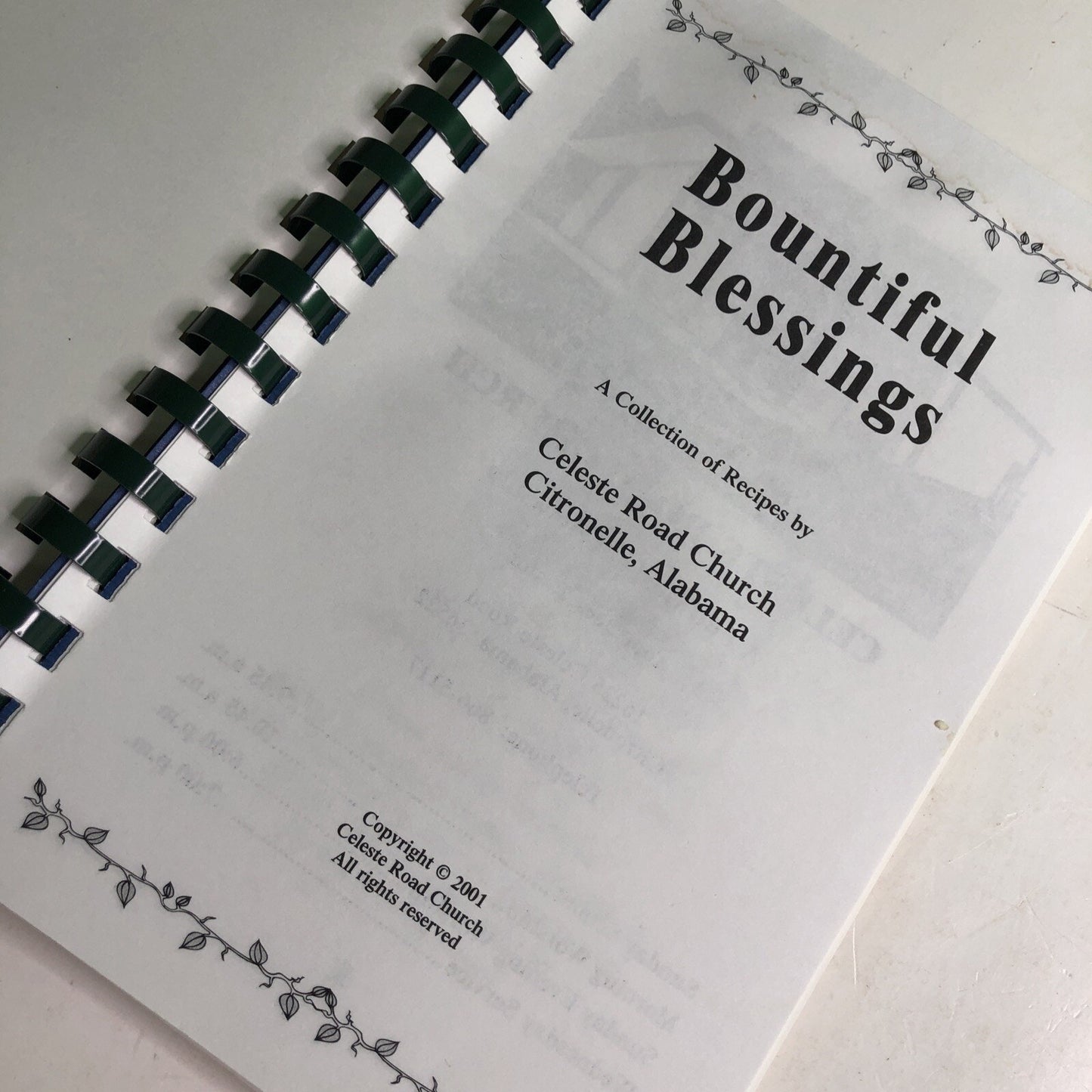 Bountiful Blessings Cookbook Celeste Road Church Citronelle Alabama AL 2001