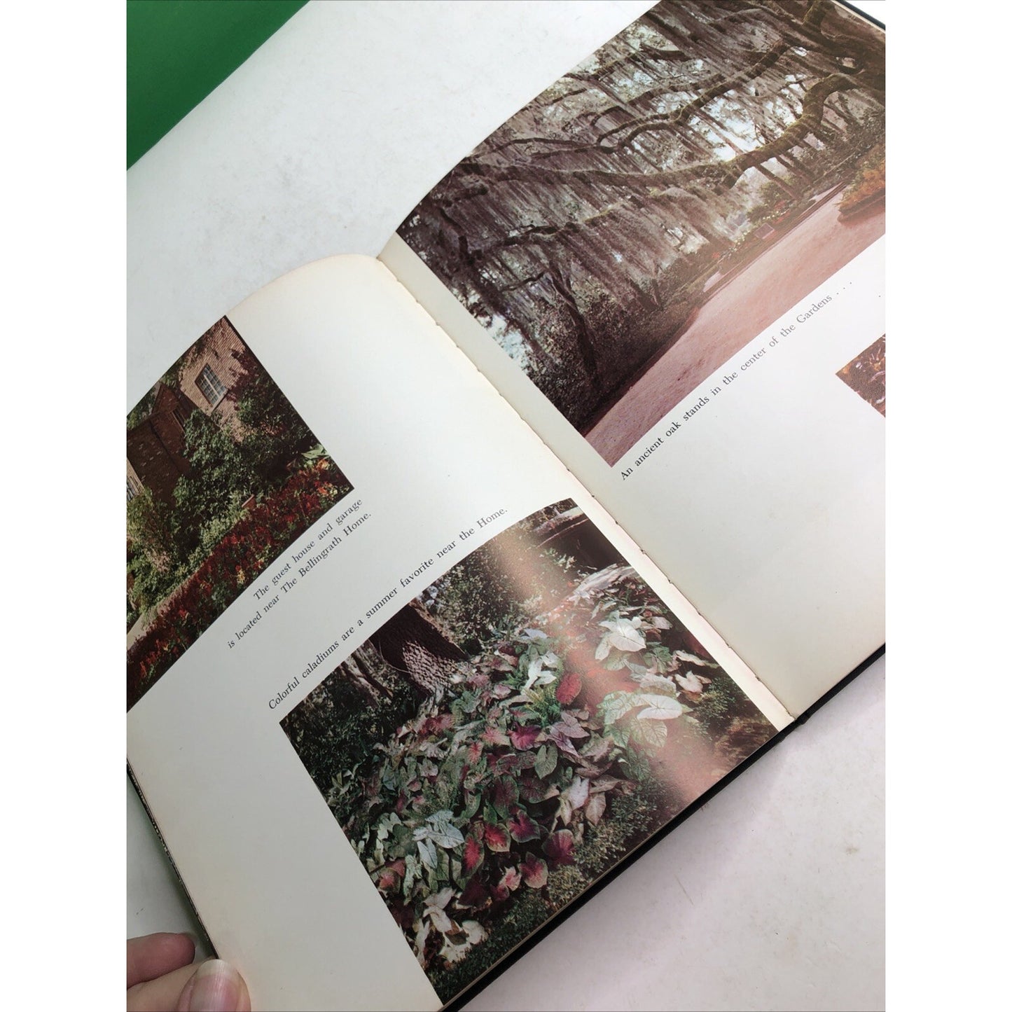 Bellingrath Gardens and the Bellingrath Home Hardcover Souvenir Book 1958