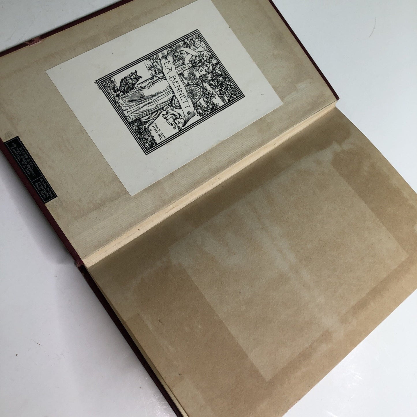 Representative Women Mrs Annie Besant By Geoffrey West 1927 HC Occult 1st Ed