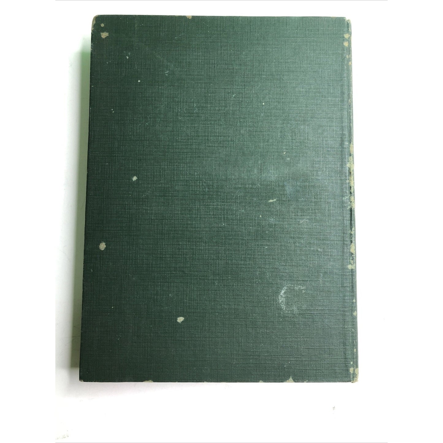 PETER AND THE PRINCESS by Carl H. Grabo Art by John R. Neill 1st Edition 1920 HC