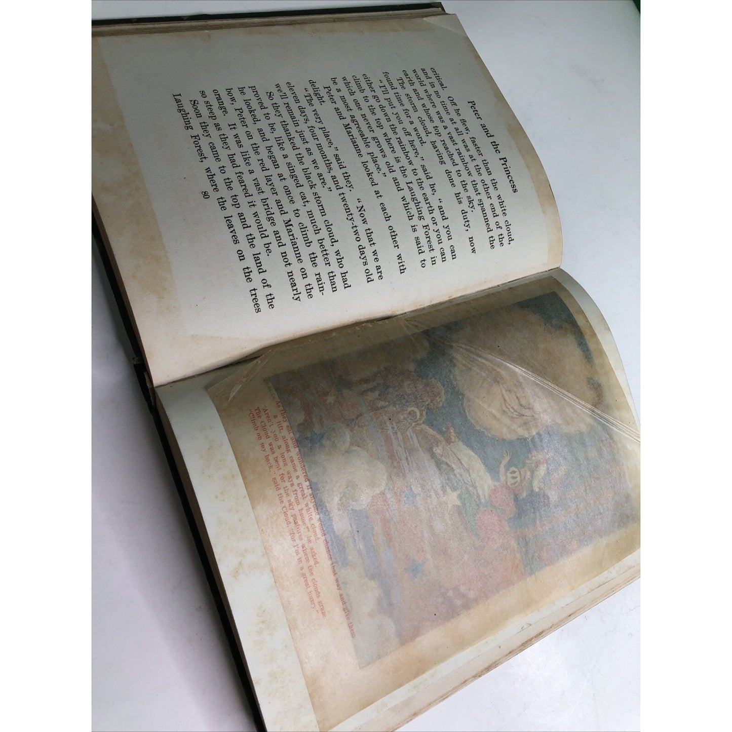 PETER AND THE PRINCESS by Carl H. Grabo Art by John R. Neill 1st Edition 1920 HC