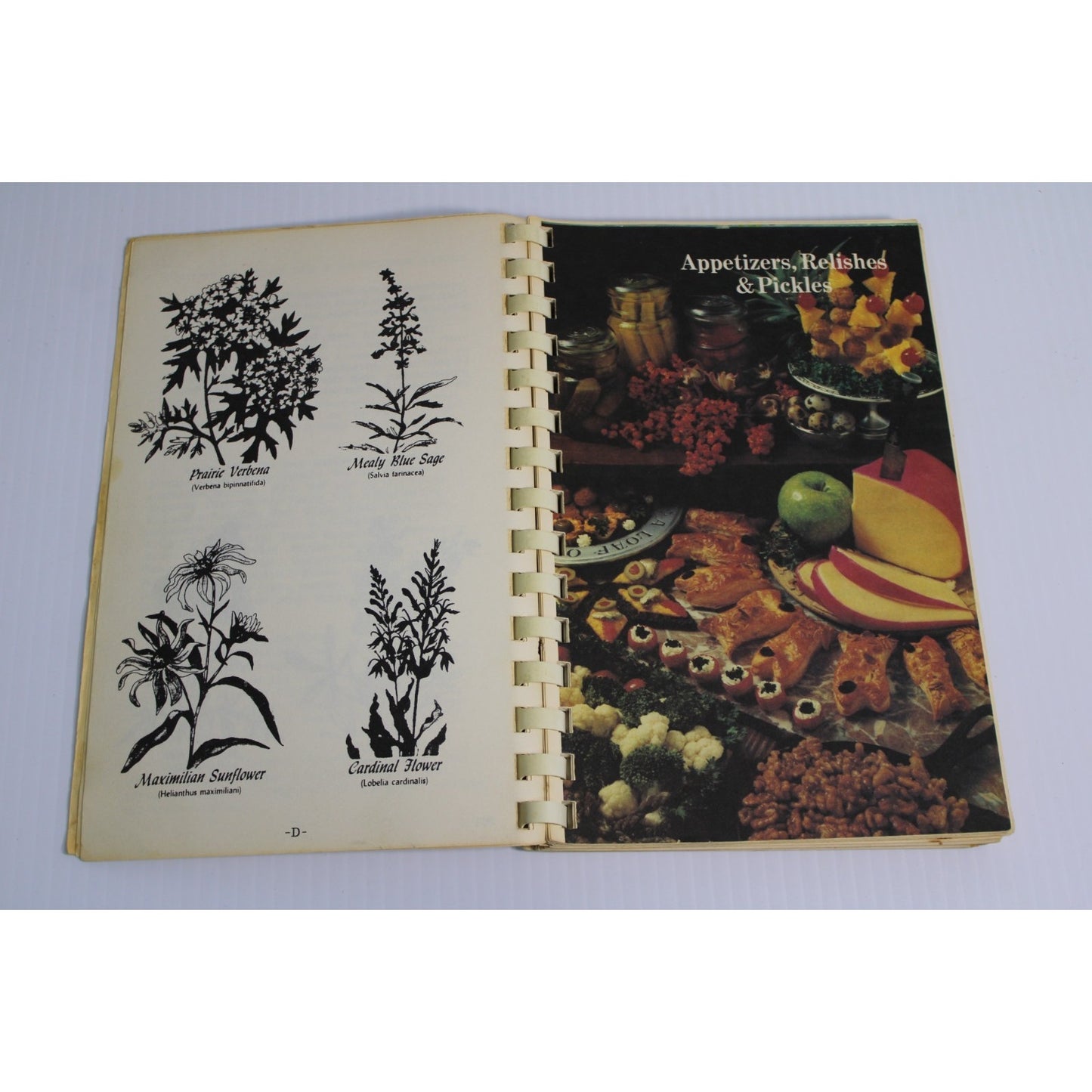 Vintage Avinger Wild Flower Trails Cookbook Cass East Texas Lady Bird Johnson TX