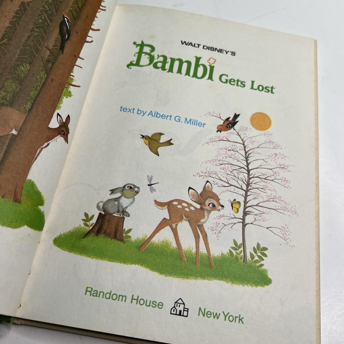 Vintage 1972 Walt Disney's Wonderful World of Reading, Bambi Gets Lost Book.