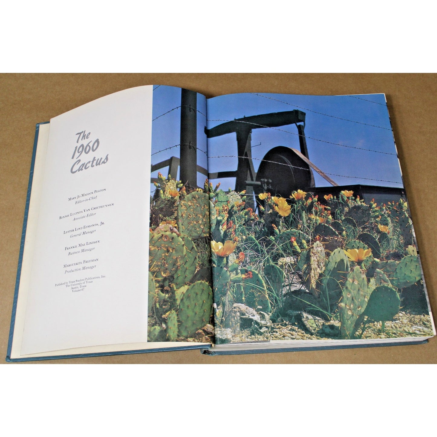 UNIVERSITY OF TEXAS Yearbook 1960 Austin, TX College - THE CACTUS - LONGHORNS