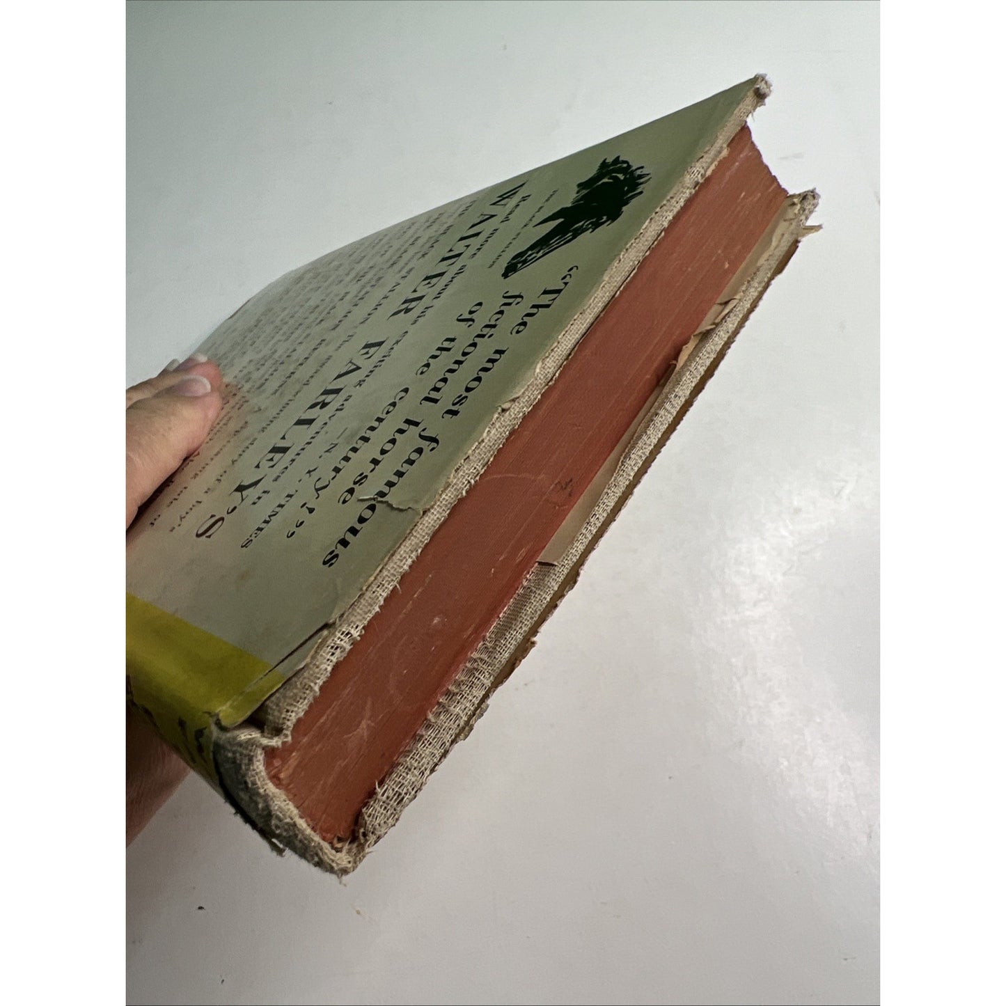 "The Black Stallion and Satan" by Walter Farley (1949) HC DJ 11th Printing