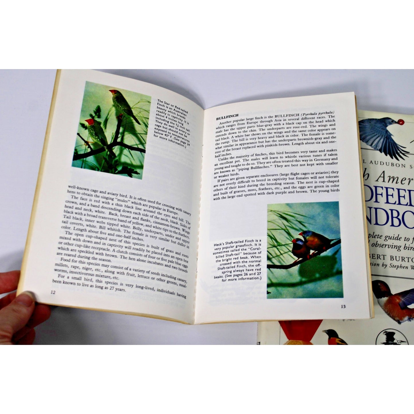 VTG Audobon Society: North American Birdfeeder Handbook and Finches...In Color!