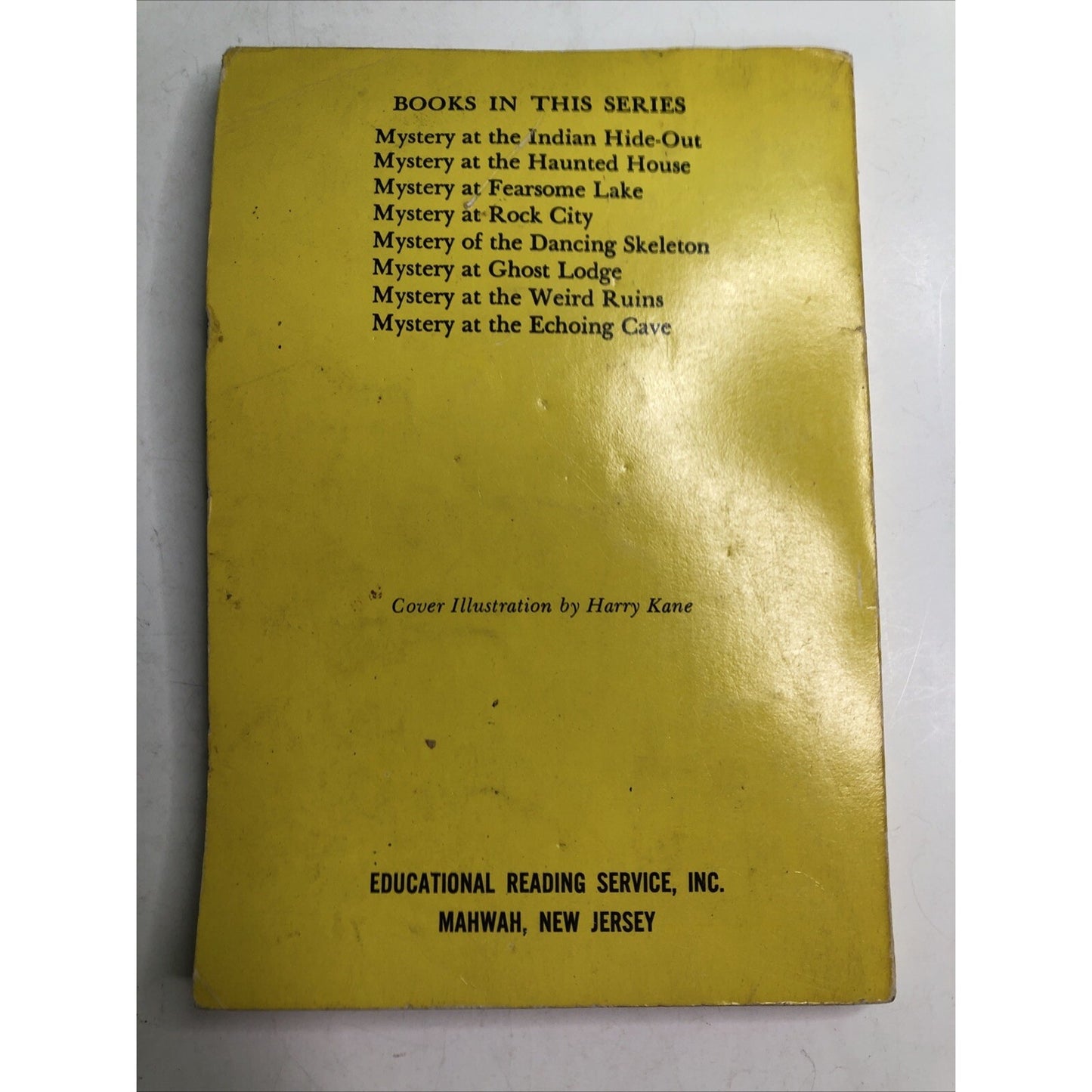 Vintage CHRISTINE GOVAN & EMMY WEST Mystery at Fearsome Lake Lookouts #10