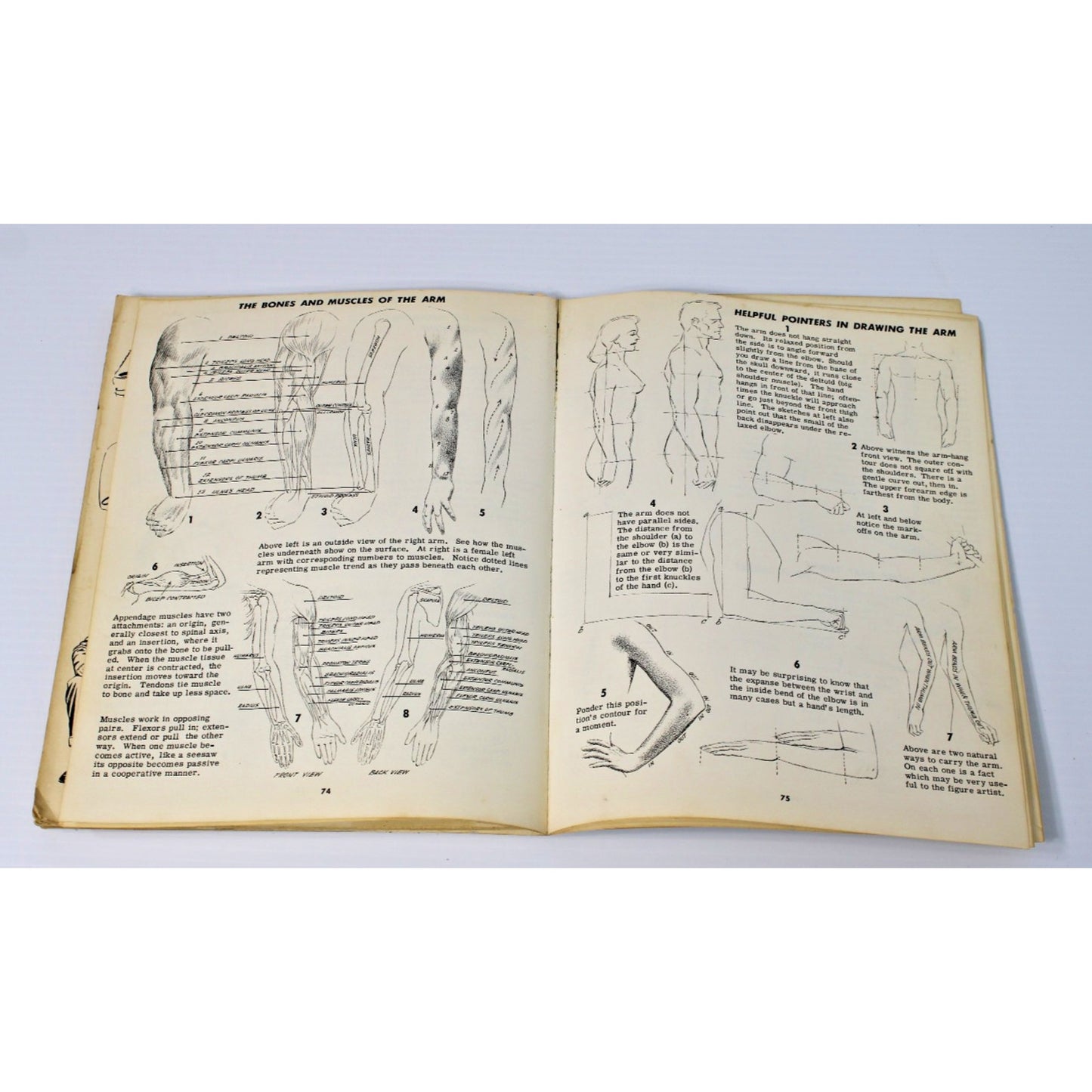Drawing the Head & Figure: A How-To Handbook That Makes Drawing Easy- Jack Hamm