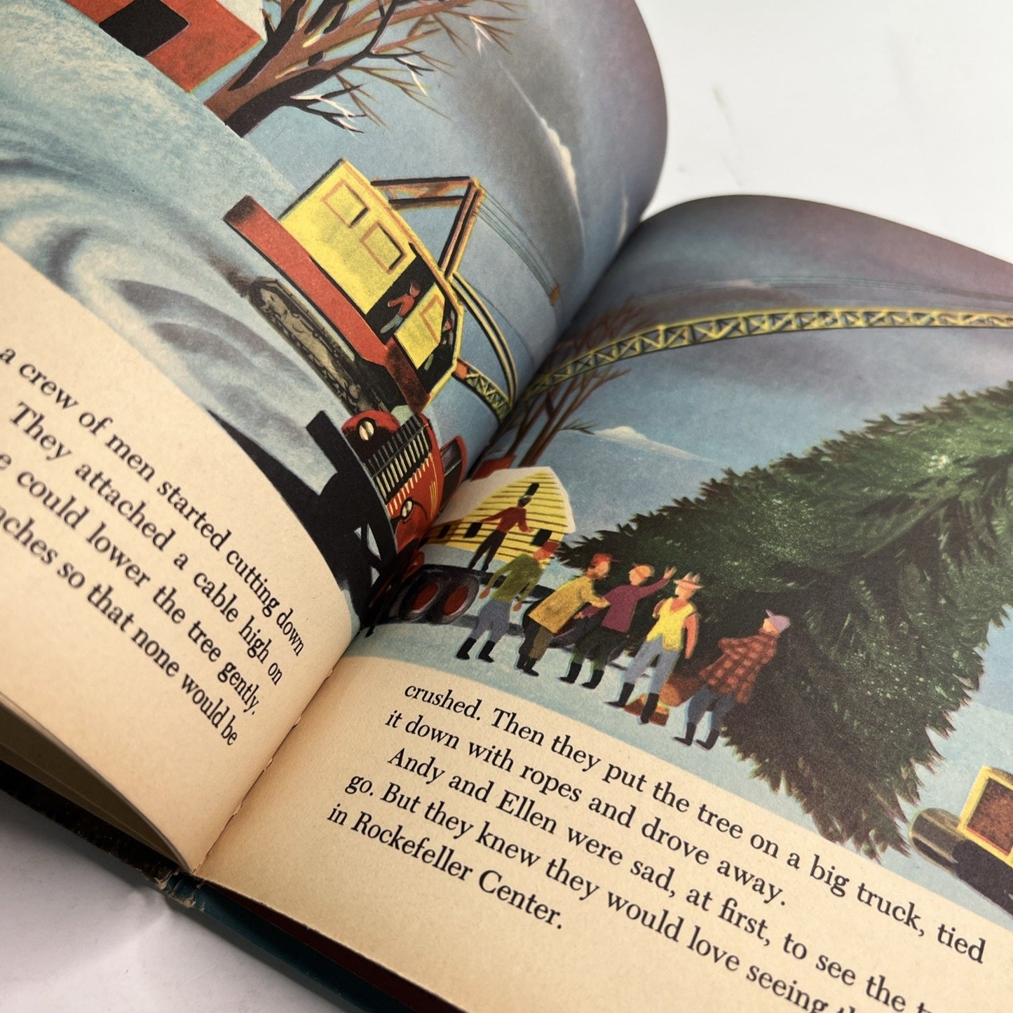The Most Beautiful Tree In The World 1956 Wonder Books