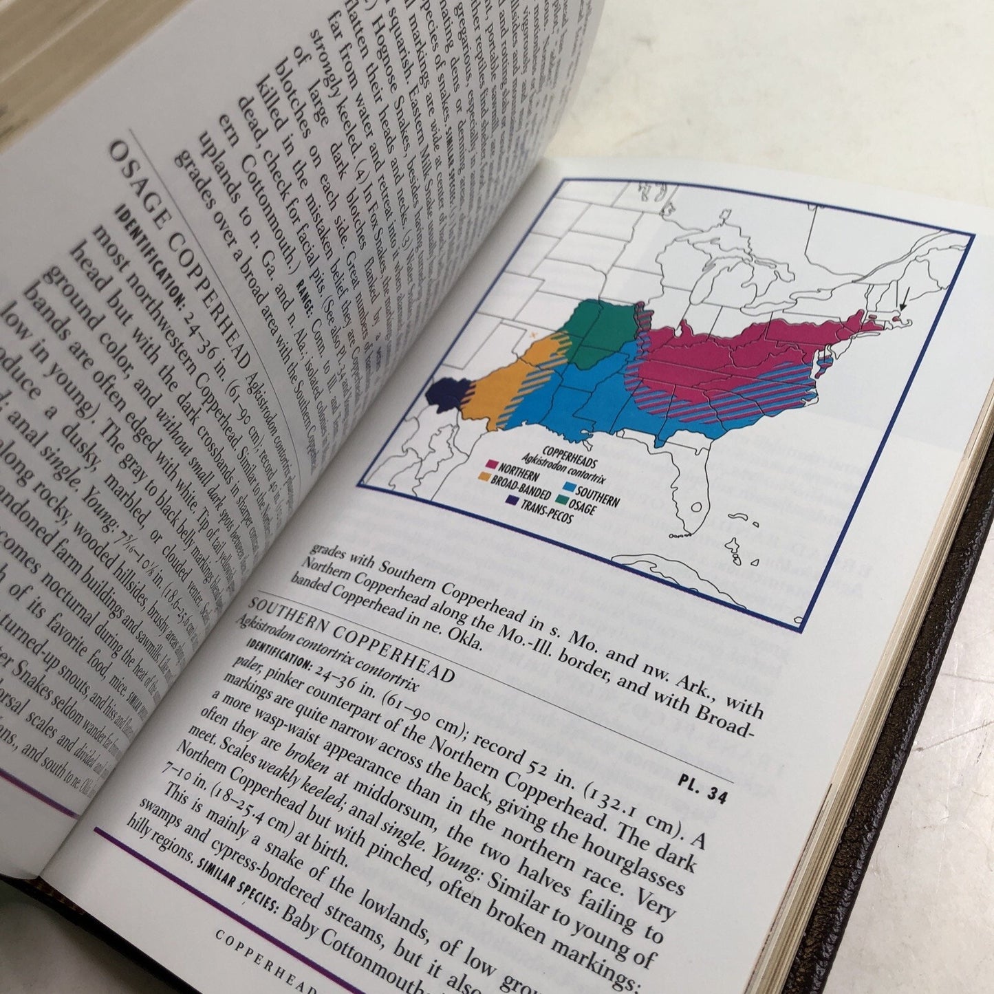 Roger Tory Peterson Field Guides: EASTERN REPTILES & AMPHIBIANS HC Leather Bound