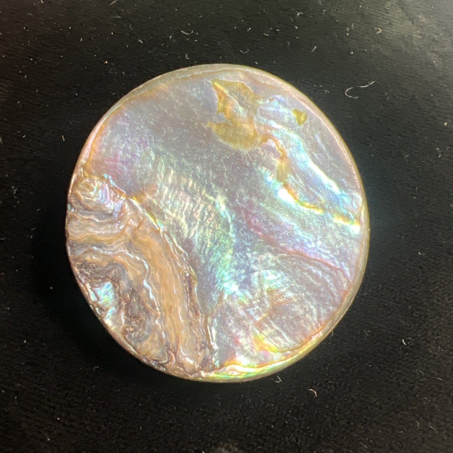 Antique Abalone Brooch Pin Brilliant Colors 1.5” Diameter