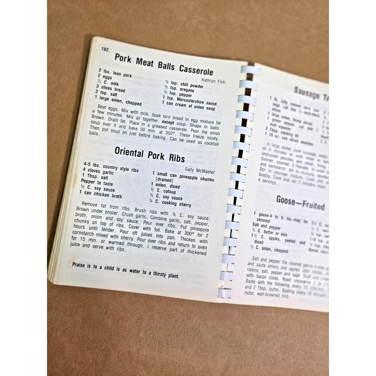 Vintage Oelwein Iowa Centennial Cook Book 1885-1985 Presbyterian Church History