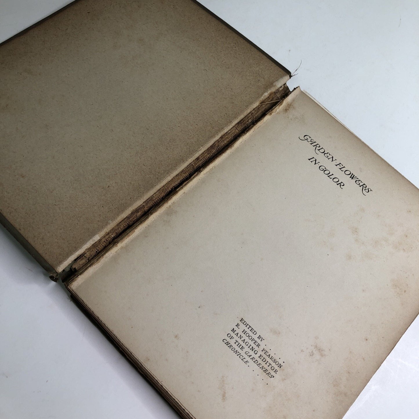 1910 Sweet Peas by Horace J. Wright Hardcover Color Plates
