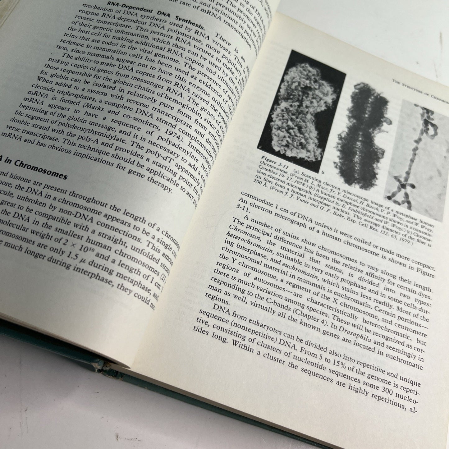 An Introduction To Human Genetics 3rd Edition H. Eldon Sutton 1980 HC Textbook