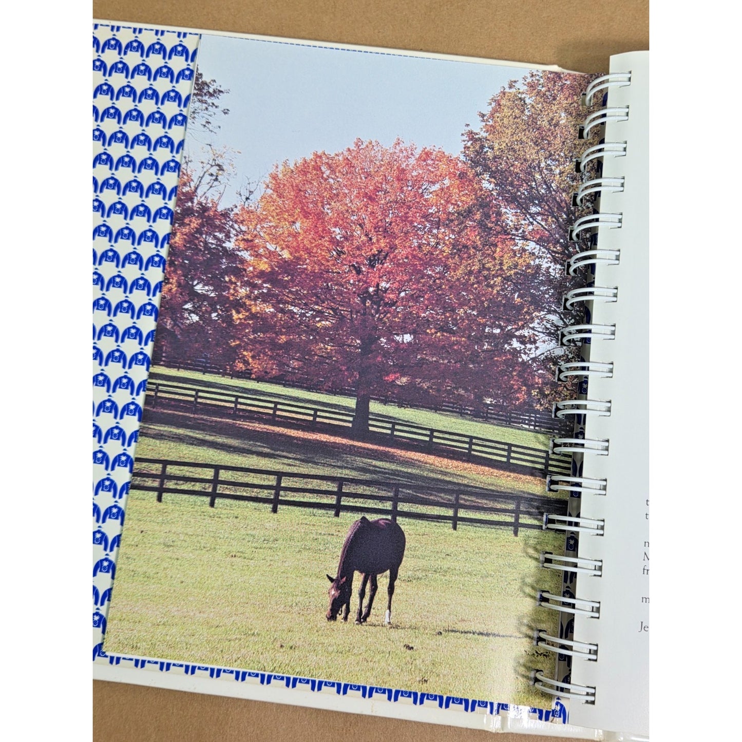 Bluegrass Winners: A Cookbook- Garden Club of Lexington KY Vintage Equestrian EX
